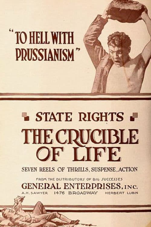 The Crucible of Life poster