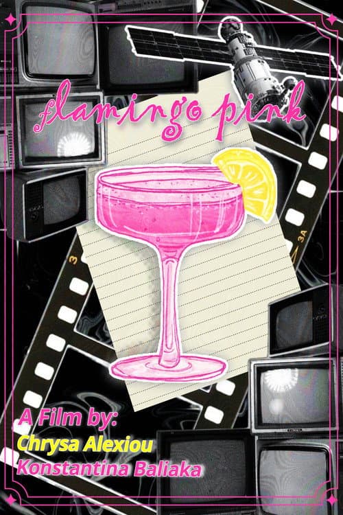 Flamingo Pink poster