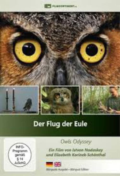 Der Flug der Eule poster
