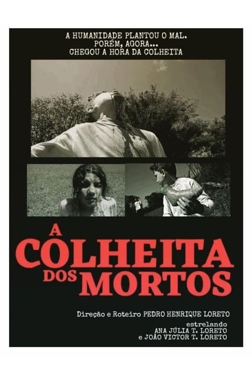 A Colheita dos Mortos