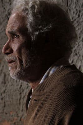 4 O'clock Flowers poster