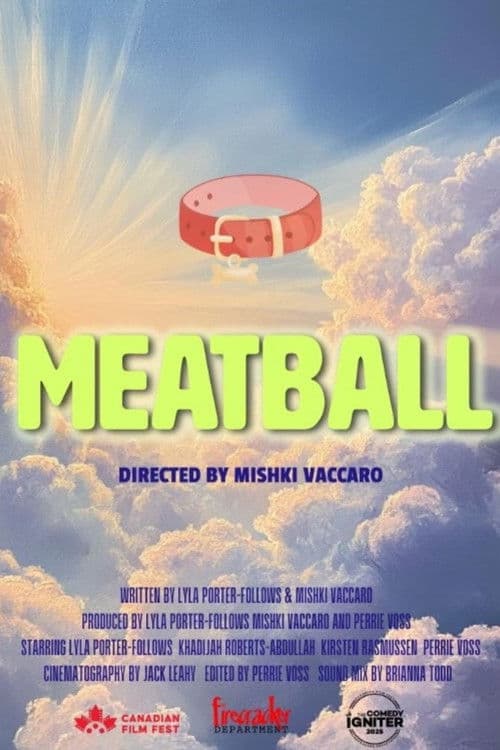 Meatball poster