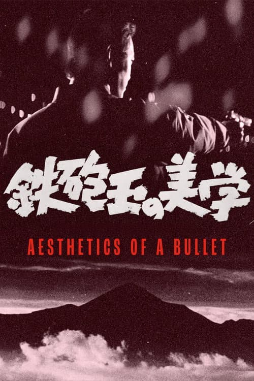 Aesthetics of a Bullet poster