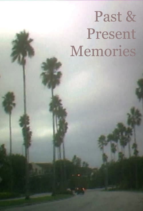 Past & Present Memories poster