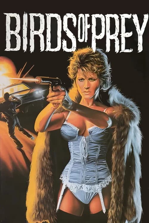 Birds of Prey poster