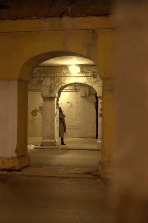 Mister Sticks poster