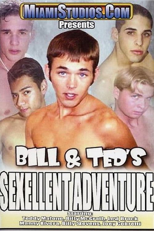 Bill & Ted's Sexellent Adventure poster