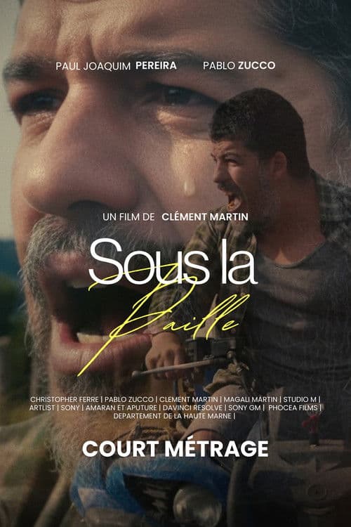Sous La Paille poster