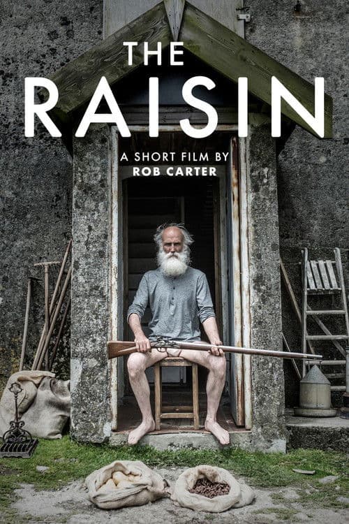 The Raisin poster
