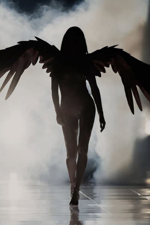 The Victoria's Secret Fashion Show 2015 poster