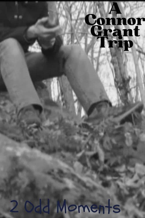 2 Odd Moments poster