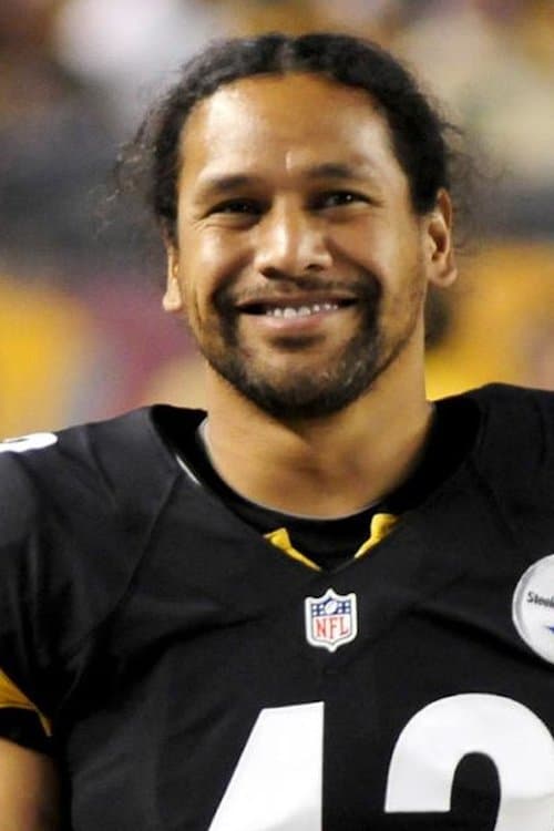 Troy Polamalu profile photo