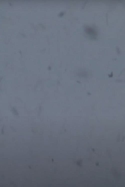 Chambers of Time poster