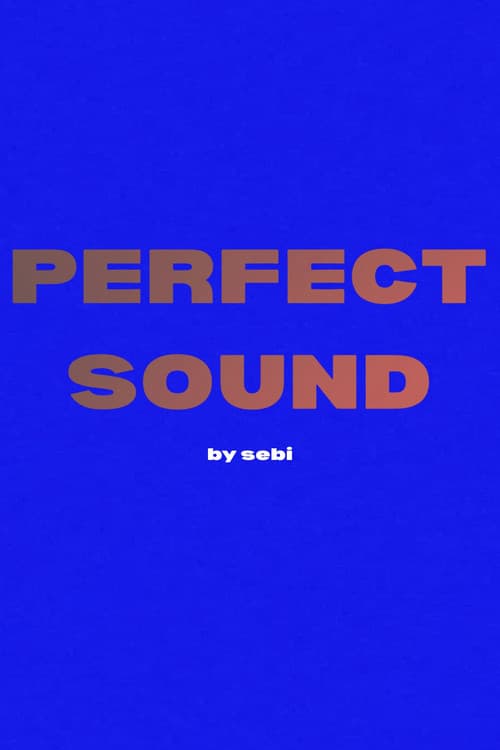 Perfect Sound poster