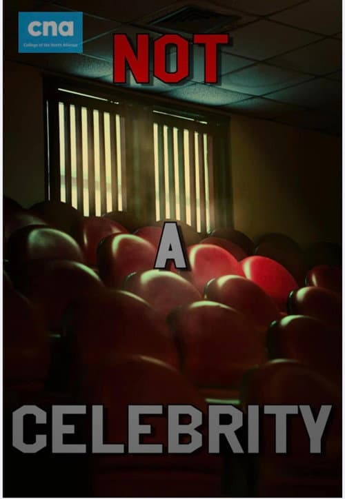 Not A Celebrity poster