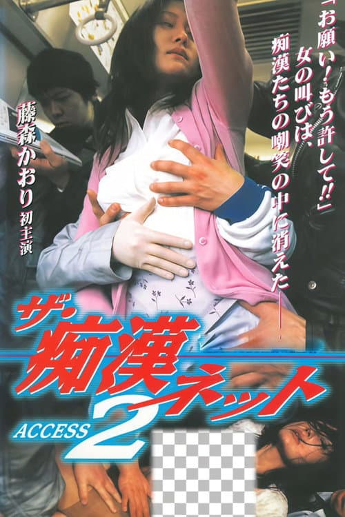 The Molester Net ACCESS 2 poster