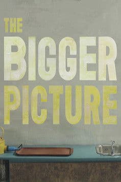 The Bigger Picture poster