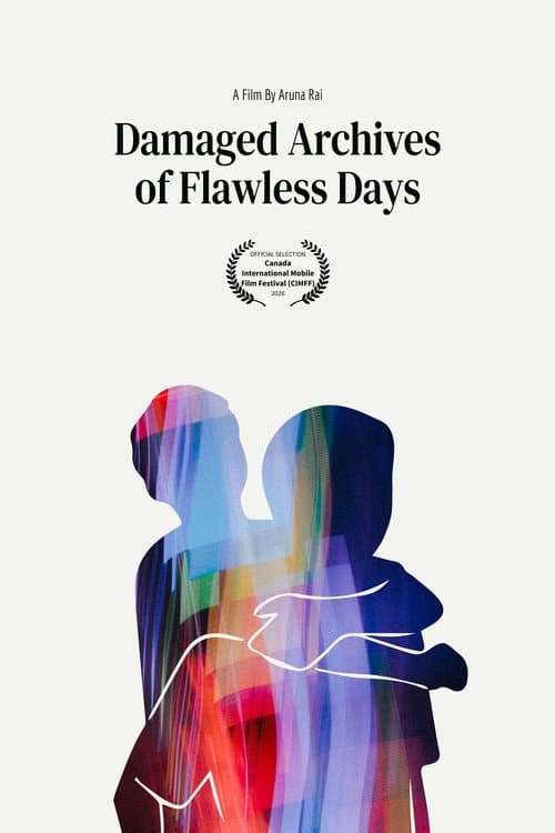 Damaged Archives of Flawless Days poster