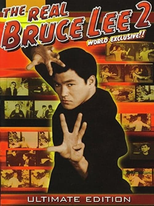 The Real Bruce Lee  2 poster