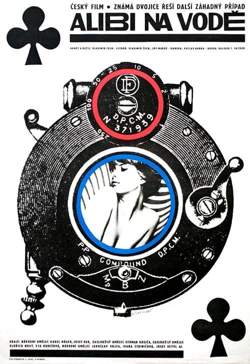 Alibi on the Lake poster