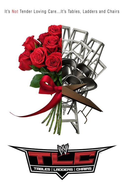 WWE TLC: Tables, Ladders & Chairs 2013 poster