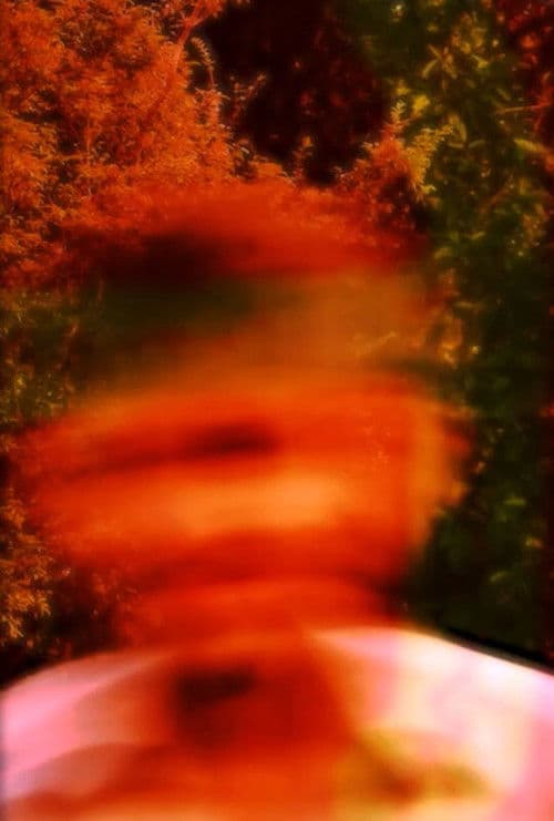 Quando vi minha alma poster