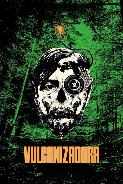 Vulcanizadora poster