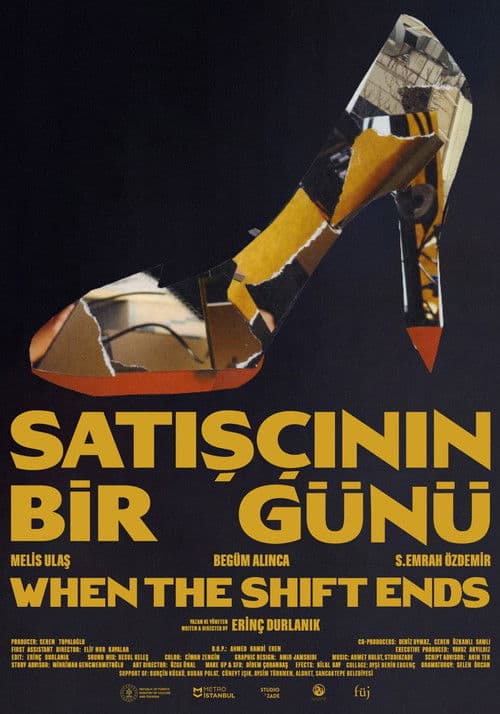 Satışçının Bir Günü poster