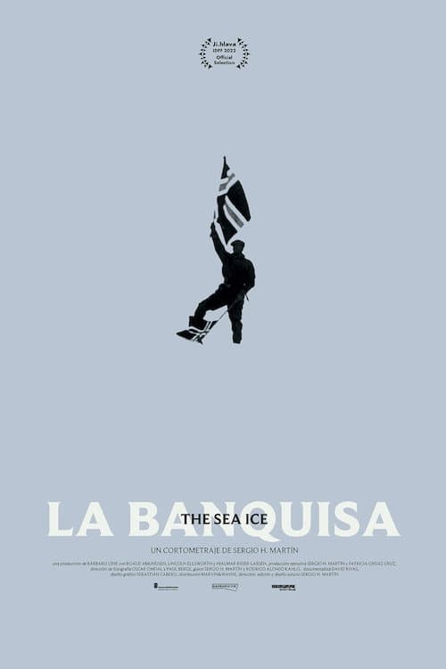 The Sea Ice poster