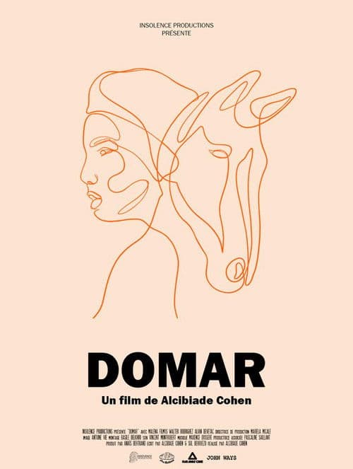 Domar poster