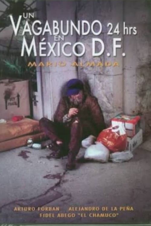 Un vagabundo 24 hrs. en México D.F. poster
