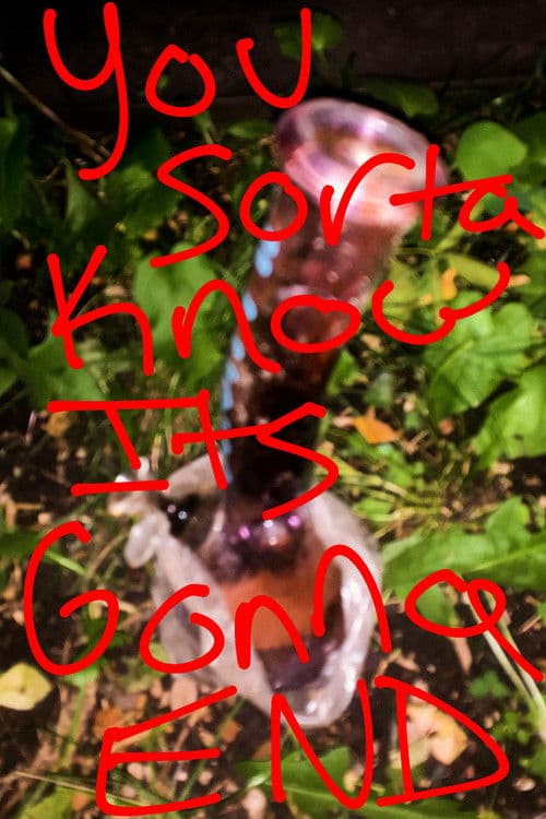 You Sorta Know It's Gonna End poster