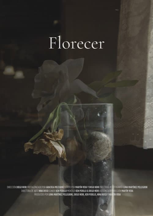 Bloom poster