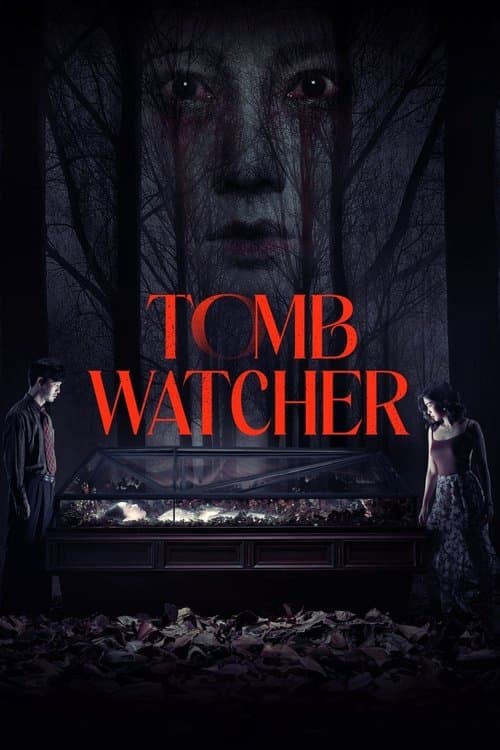Tomb Watcher poster
