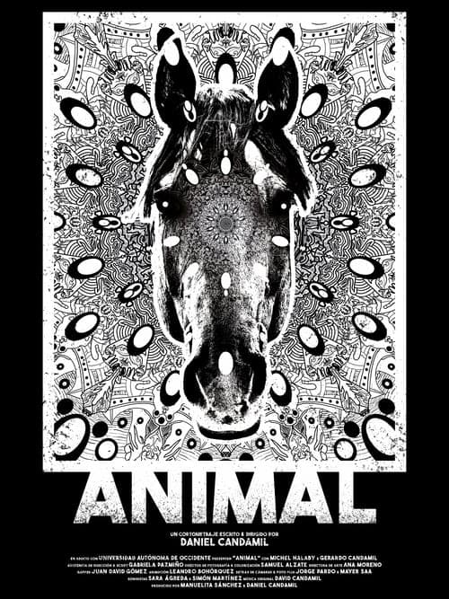 Animal poster