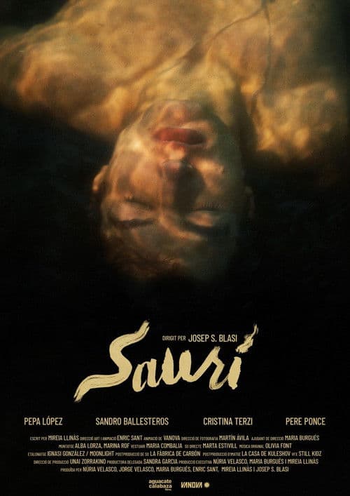 Saurí poster