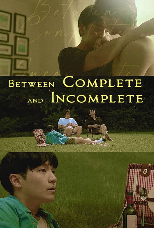 Between Complete and Incomplete poster