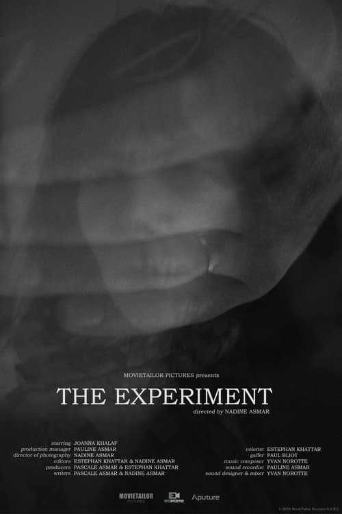 The Experiment poster