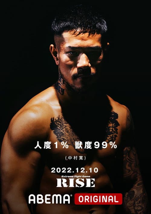 RISE 163 poster
