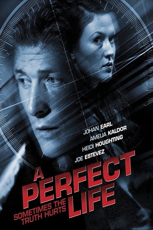 A Perfect Life poster