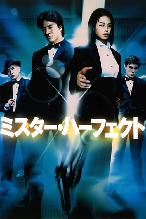 Looking for Mr. Perfect poster