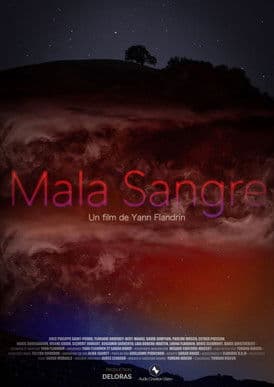 Mala Sangre poster