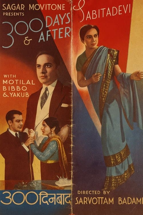 300 Days and After poster