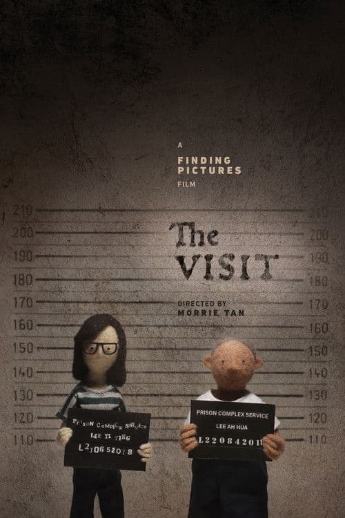 The Visit poster