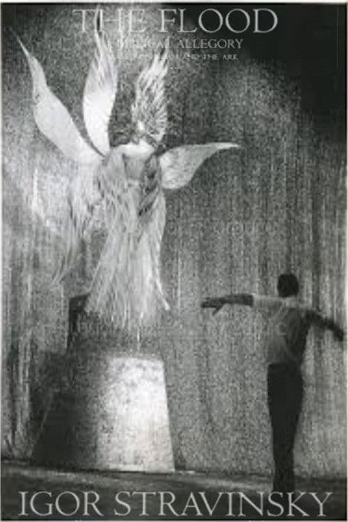 Noah and the Flood poster