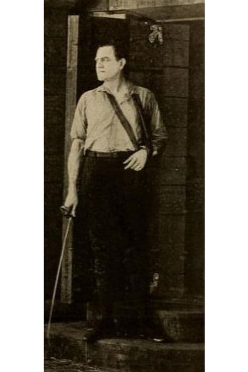 The Prisoner of Zenda poster