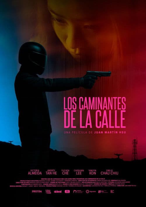 Street Wanderers poster