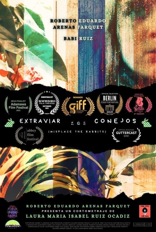 Misplace the rabbits poster