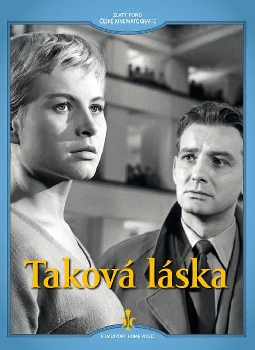 Taková láska poster