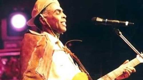 Viva São João! poster